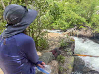 A nice lunch spot