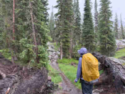 The moose was at the far end of the trail, visible in this photo.  MUCH closer than we wanted to be to it