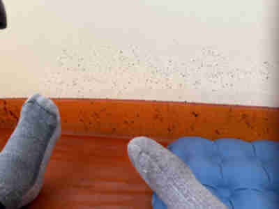 The dirt splatter on the side of the tent from the storm