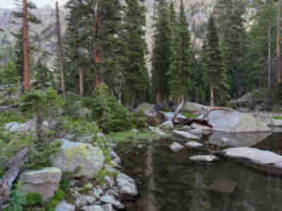 Lisa at camp