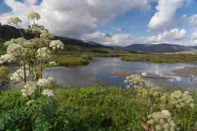 Hiking between two continental plates at Þingvellir National Park