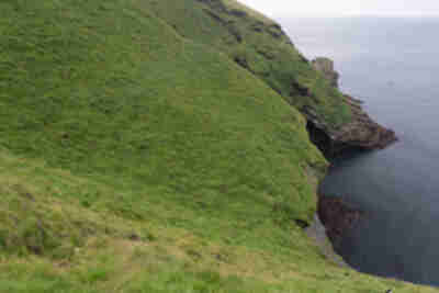 Visiting the puffins on Heimaey island