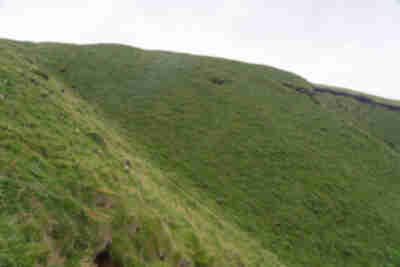Visiting the puffins on Heimaey island