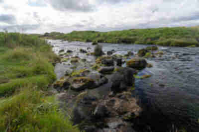 Hafursey