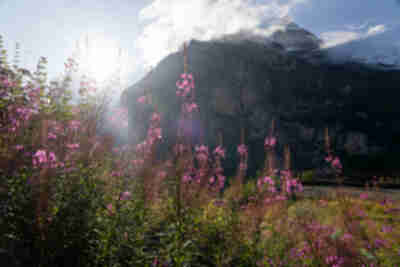 Mürren