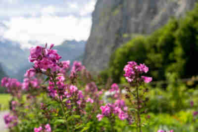 Hiking from Stechelberg to Lauterbrunnen