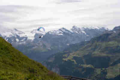 A paraglider (they were everywhere) below us on the summit