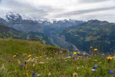 Looking over the Lauterbrunnen valley