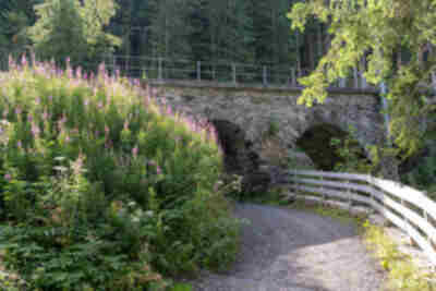 Hiking from Wengen to Kleine Scheidegg