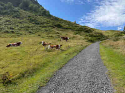 Hiking from Wengen to Kleine Scheidegg