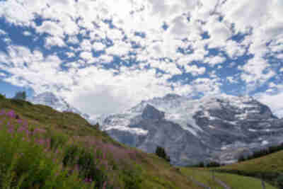 Hiking from Wengen to Kleine Scheidegg