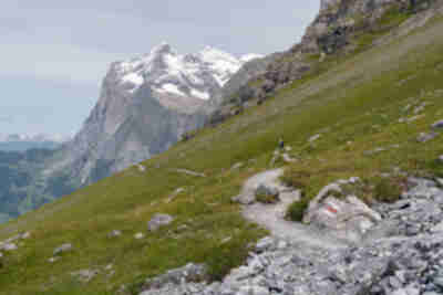 Descending the Eiger Trail to Alpiglen with Wetterhorn towering over the valley