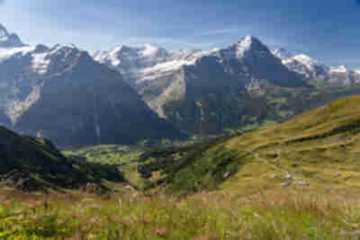Grindelwald, the north face of the Eiger, and Kleine Scheidegg