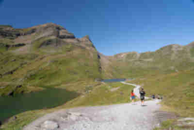 Bachalpsee Lake