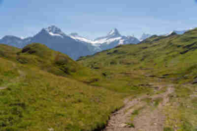 Hiking from Bachalpsee down to Bort