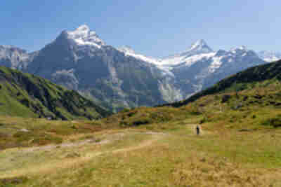 Hiking from Bachalpsee down to Bort