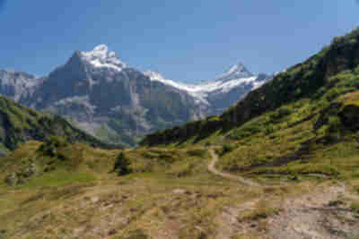 Hiking from Bachalpsee down to Bort