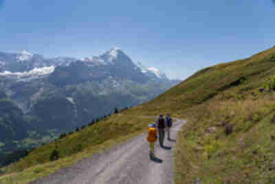 Hiking from Bachalpsee down to Bort