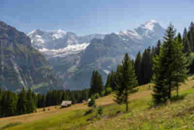 Hiking from Bachalpsee down to Bort