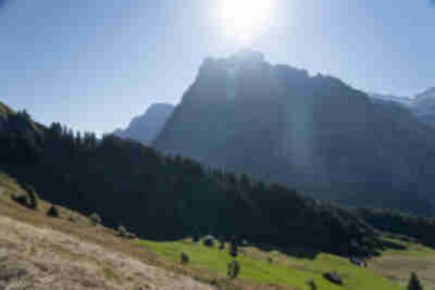 Hiking from Bort down to Grindelwald