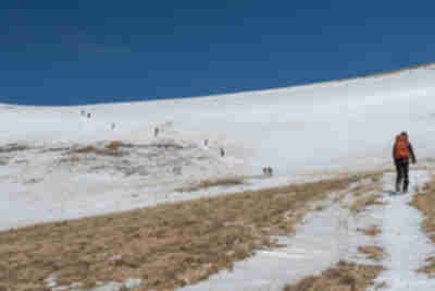 Hiking to Buckeye Peak