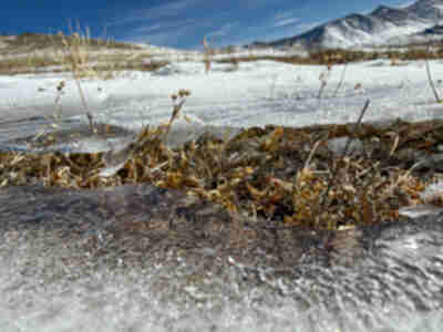 Ice resting on top of the tundra