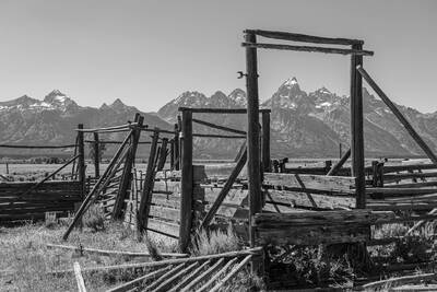 Mormon Row