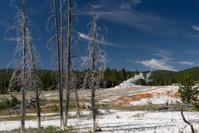 Exploring the Upper Geyser Basin