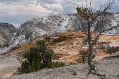 Mammoth Hot Springs