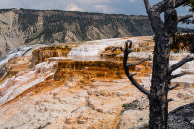 Mammoth Hot Springs