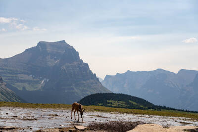 Hiking to Hidden Lake at Logan Pass