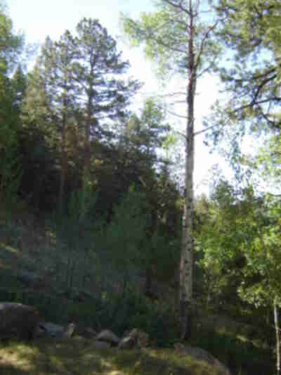 The area behind the Bunkhouses