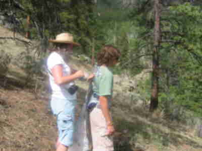 Attaching the wings to our "bird"