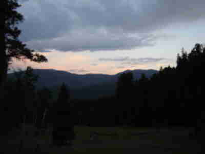 Exploring the meadow at dusk
