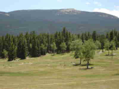 Mt. Susan from the Mt. Evans Wildlife Area