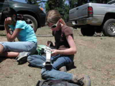 Examining a sheep radio collar
