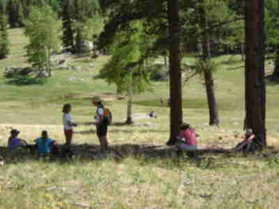 Reflecting on the positive effects of fire on wildlife