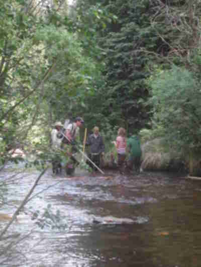 Looking for fish in an under-cut bank