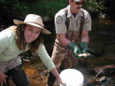 One of the brook trout that we shocked