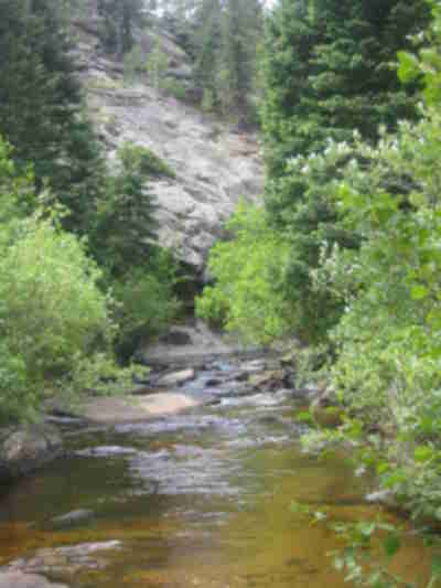 Upper Bear Creek