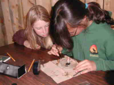 Seperating individual fish scales from the fishes body