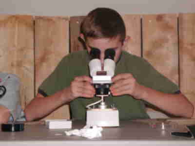 Looking at the rings on a fish scale to determine the age of the fish.