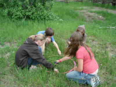 Clipping the grass within the hula hoop to help determine how many mule deer and mountain lions live in the Evergreen area.