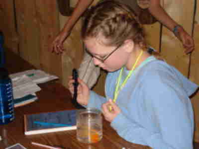 Eating a fish with a slotted spoon - the best tool for the job.