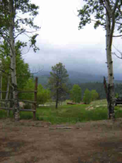 View from the barn