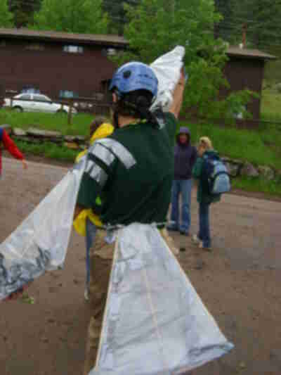 Our bird ready to take flight
