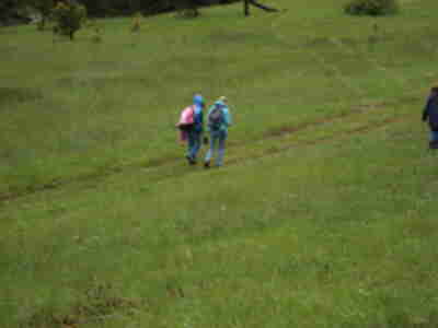 Hiking to the Upper Meadow
