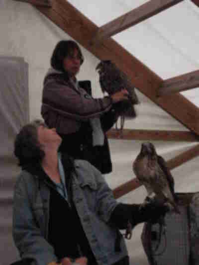 The owl and a Red-Tailed Hawk handled by Pam and Laura