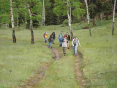 The boys coming down the meadow from their tent