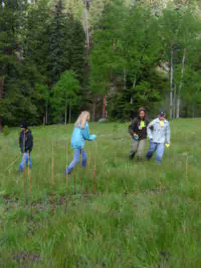Kayla and Brett trying to avoid Allison the Mountain Lion